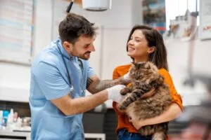 How many years of school to be a vet tech