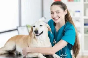 How many years of school to be a vet tech