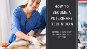 How many years of school to be a vet tech