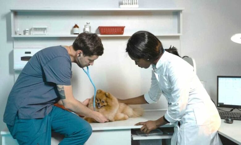 How many years of school to be a vet tech