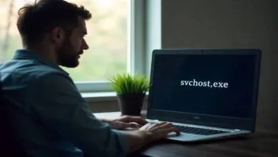 svchost.exe (localsystemnetworkrestricted)