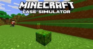 Minecraft case simulator